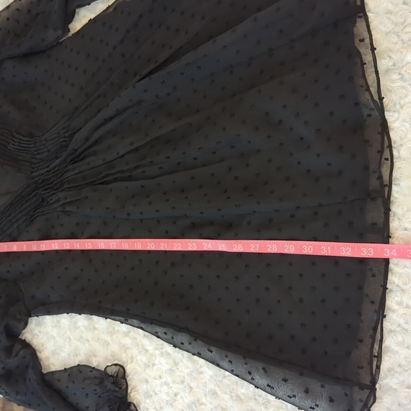 ENTRO • ANTHROPOLOGIE Sheer Mini Dress ~ NWT - Picture 11 of 11